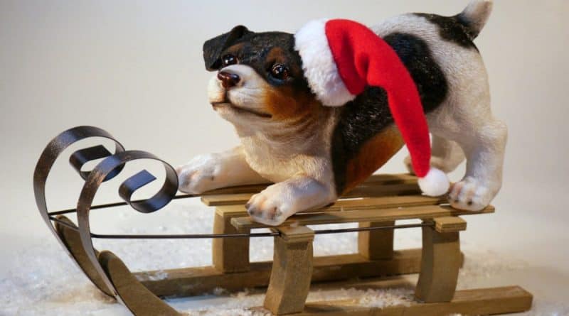 Tag hunden med til jul