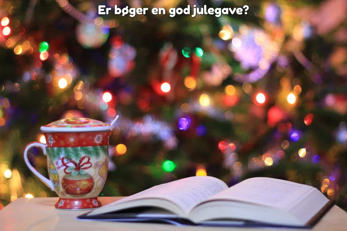 Er bøger en god julegave?